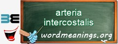 WordMeaning blackboard for arteria intercostalis